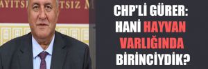 CHP’li Gürer: Hani hayvan varlığında birinciydik?
