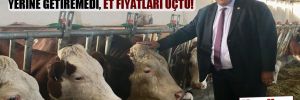 CHP’li Gürer: Et ve Süt Kurumu görevini yerine getiremedi, et fiyatları uçtu!