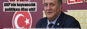 CHP’li Gürer: AKP’nin hayvancılık politikası iflas etti!