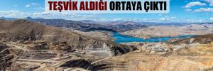 Erzincan İliç’teki madeni işleten Anagold’un teşvik aldığı ortaya çıktı