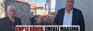CHP’li Gürer: Emekli maaşına kurbanlık koç alınamıyor! 