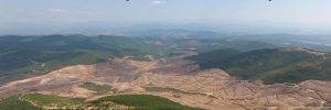 Türkiye’de vahşi madencilik genişliyor! 