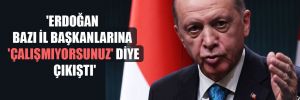 ‘Erdoğan bazı il başkanlarına ‘Çalışmıyorsunuz’ diye çıkıştı’