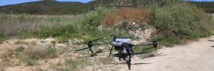 Efes Selçuk’ta drone ile ilaçlama çalışması! 