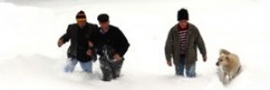 Ağrı'daki kar yağışında 12 kişi mahsur kaldı