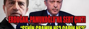 Erdoğan, Pamukoğlu'na sert çıktı; "Senin çapın ne?"
