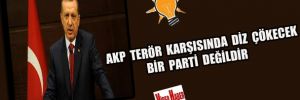 AKP terör karşısında diz çökecek bir parti değildir.