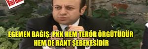 Egemen Bağış: PKK hem terör örgütüdür hem de rant şebekesidir