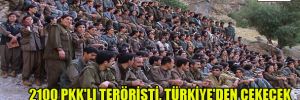 2100 PKK'lı teröristi, Türkiye'den çekecek 13 kişilik kadro