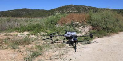 Efes Selçuk’ta drone ile ilaçlama çalışması!
