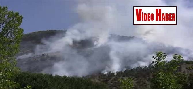 Karabük’te 8 hektar ormanlık alan yandı