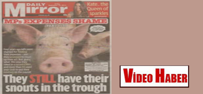Daily Mirror, İngiliz milletvekillerini domuza benzetti