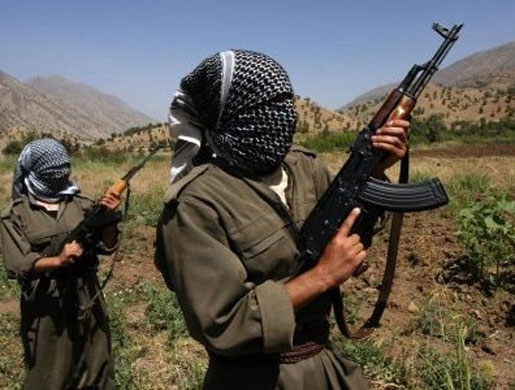 PKK, Palu’da şantiye basıp araçları yaktı