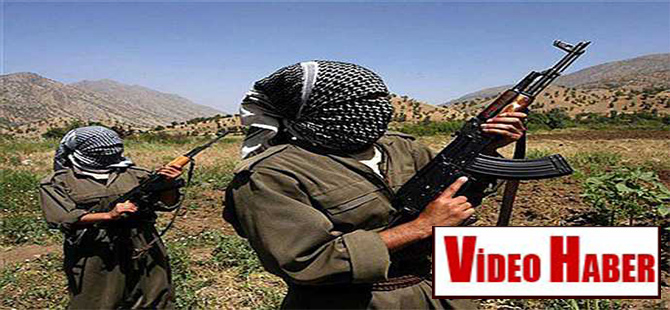 Firari PKK’lılar Ankara ve Van’a gönderildi