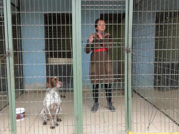 Usak Ta Ilginc Eylem Hayvanlar Icin Kafese Girdi Tasma Takip Havladi Halkin Habercisi Bagimsiz Habercilik