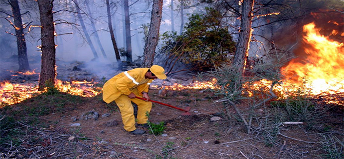 Türkiye’de 11 yılda 25 bin orman yangını çıktı