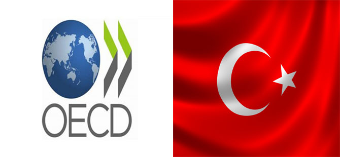 OECD İstanbul Merkezi kuruluyor