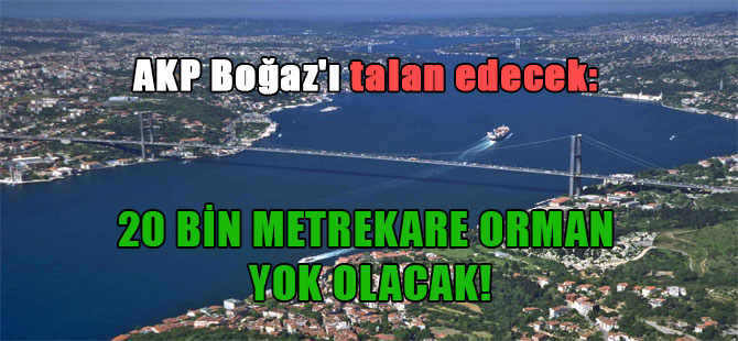AKP Boğaz’ı talan edecek: 20 bin metrekare orman yok olacak!
