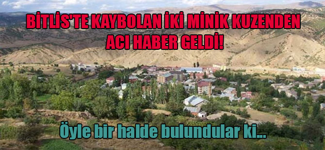 Bitlis’te kaybolan iki minik kuzenden acı haber geldi! Öyle bir halde bulundular ki…