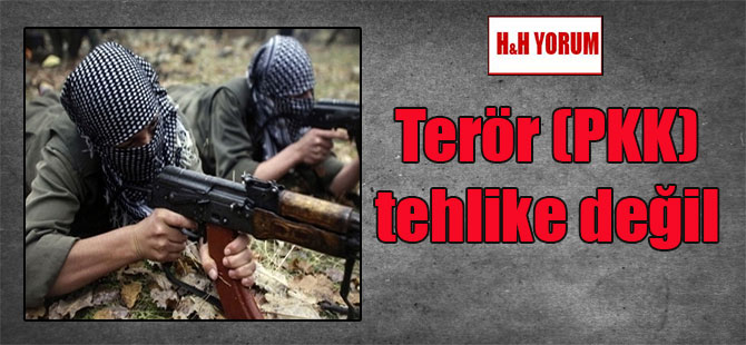 Terör (PKK) tehlike değil