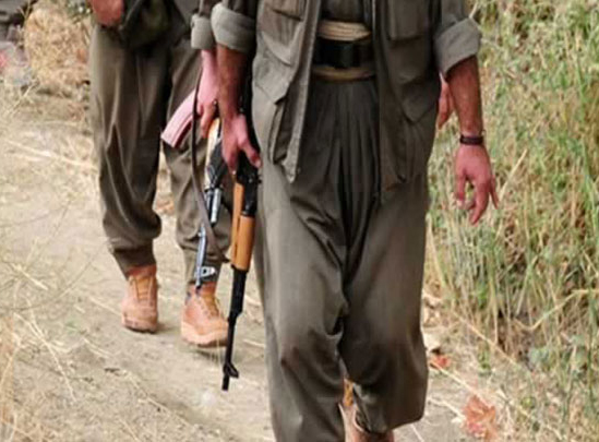 15 PKK’lı teslim oldu