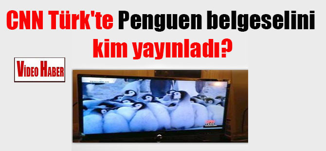 CNN Türk’te Penguen belgeselini kim yayınladı?