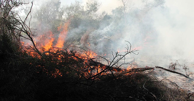 Seydikemer’de orman yangını sürüyor