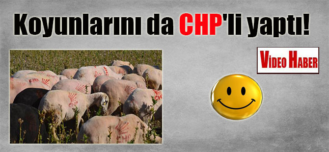 Koyunlarını da CHP’li yaptı!