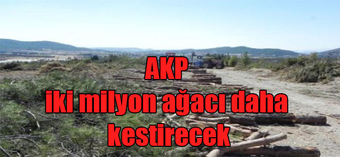 AKP iki milyon ağacı daha kestirecek