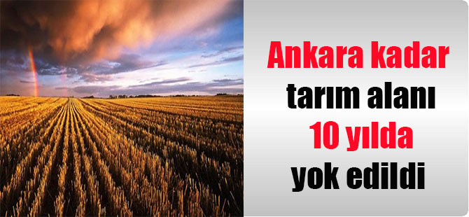 Ankara kadar tarım alanı 10 yılda yok edildi