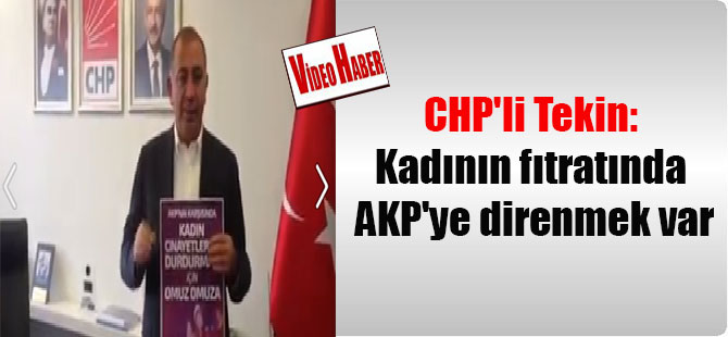 CHP’li Tekin: Kadının fıtratında AKP’ye direnmek var