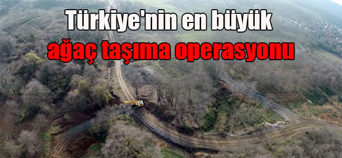 Türkiye’nin en büyük ağaç taşıma operasyonu