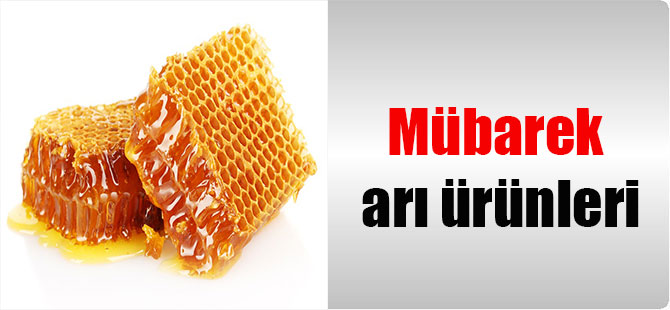Mübarek arı ürünleri