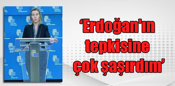 ‘Erdoğan’ın tepkisine çok şaşırdım’
