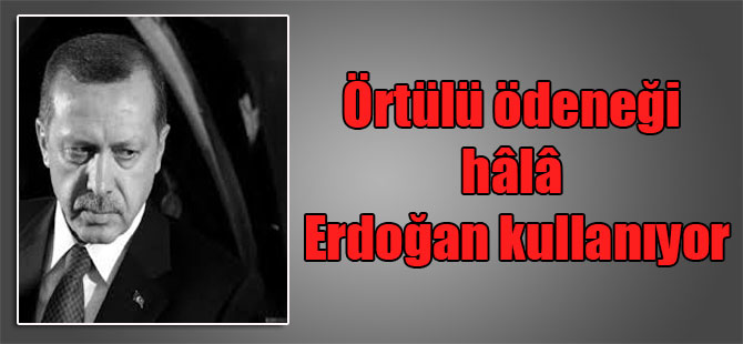 Örtülü ödeneği hâlâ Erdoğan kullanıyor