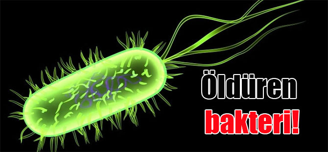 Öldüren bakteri!