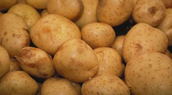 Sıfır gümrükle patates ithalatı gıda fiyatlarındaki artışı önleyebilir mi?
