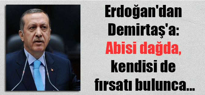Erdoğan’dan Demirtaş’a: Abisi dağda, kendisi de fırsatı bulunca…