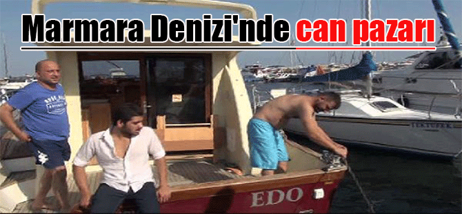 Marmara Denizi’nde can pazarı