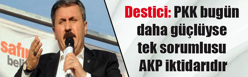 Destici: PKK bugün daha güçlüyse tek sorumlusu AKP iktidarıdır