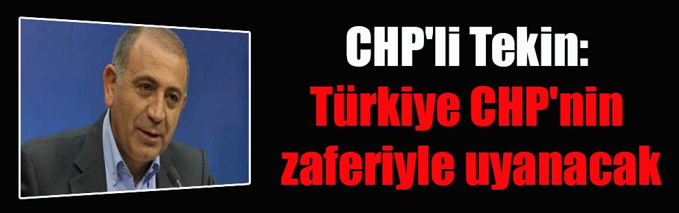 CHP’li Tekin: Türkiye CHP’nin zaferiyle uyanacak