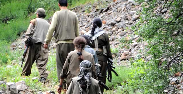 PKK’nın Bingöl bölge sorumlusu yakalandı