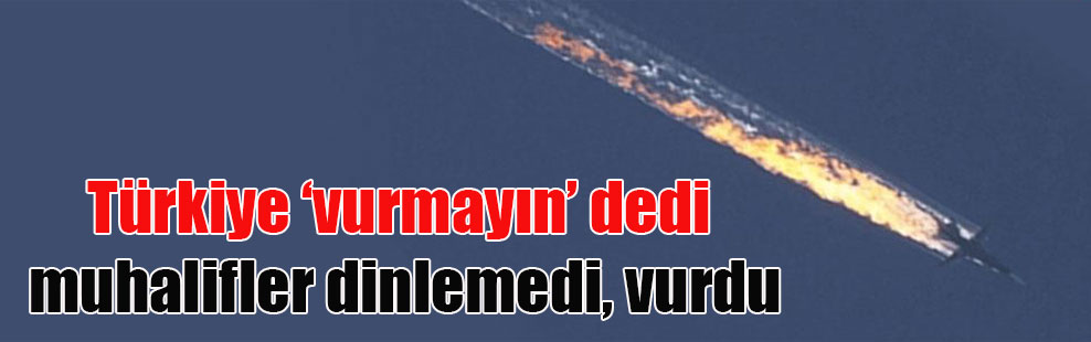 Türkiye ‘vurmayın’ dedi muhalifler dinlemedi, vurdu