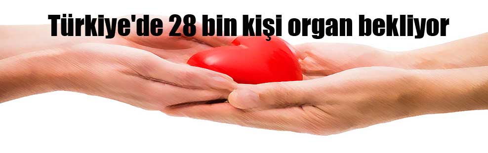 Türkiye’de 28 bin kişi organ bekliyor