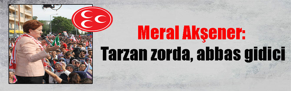 Meral Akşener: Tarzan zorda, abbas gidici