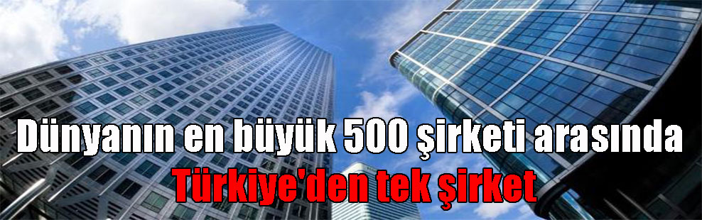 Dünyanın en büyük 500 şirketi arasında Türkiye’den tek şirket