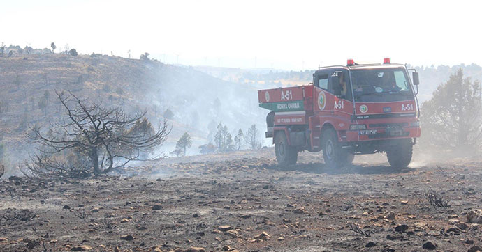 15 hektarlık ormanlık alan yandı