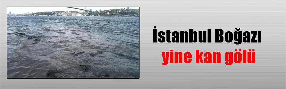 İstanbul Boğazı yine kan gölü
