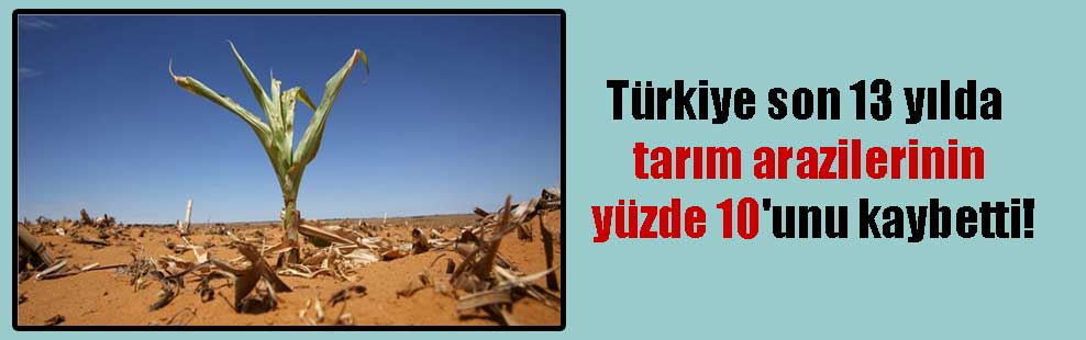 Türkiye son 13 yılda tarım arazilerinin yüzde 10’unu kaybetti!