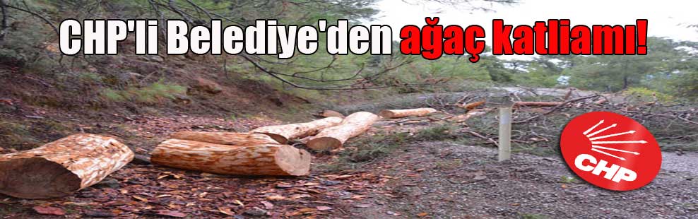 CHP’li Belediye’den ağaç katliamı!